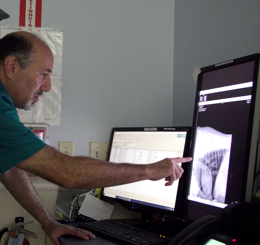 A man in a teal shirt points at a chest X-ray displayed on a vertical computer monitor, while another monitor next to him shows medical data on a white screen.
