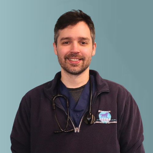 A man with short dark hair and a beard is smiling at the camera. He is wearing a dark zip-up jacket over a blue shirt with a stethoscope around his neck. The background is a plain, soft teal color.