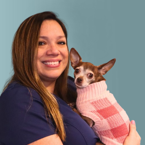 A woman smiling at the camera while holding a small dog. The dog is wearing a pink checkered sweater. The background is a solid teal color.