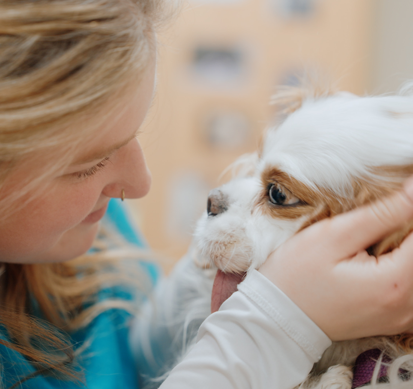 A woman gently holds a small, fluffy dog with brown and white fur. The dog is licking her face affectionately, and both appear happy and close. The background is softly blurred.