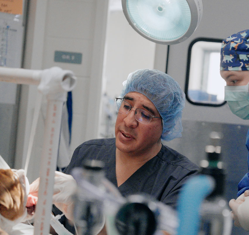 A surgeon wearing scrubs, a hair cover, and glasses works in an operating room with a masked assistant nearby under bright surgical lights. Medical equipment is visible in the foreground.