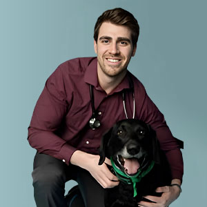 A smiling man wearing a maroon shirt and stethoscope kneels beside a happy black dog with a green bandana, both looking at the camera against a plain blue background.
