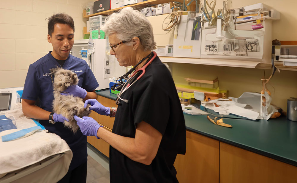 Avian store vet clinic