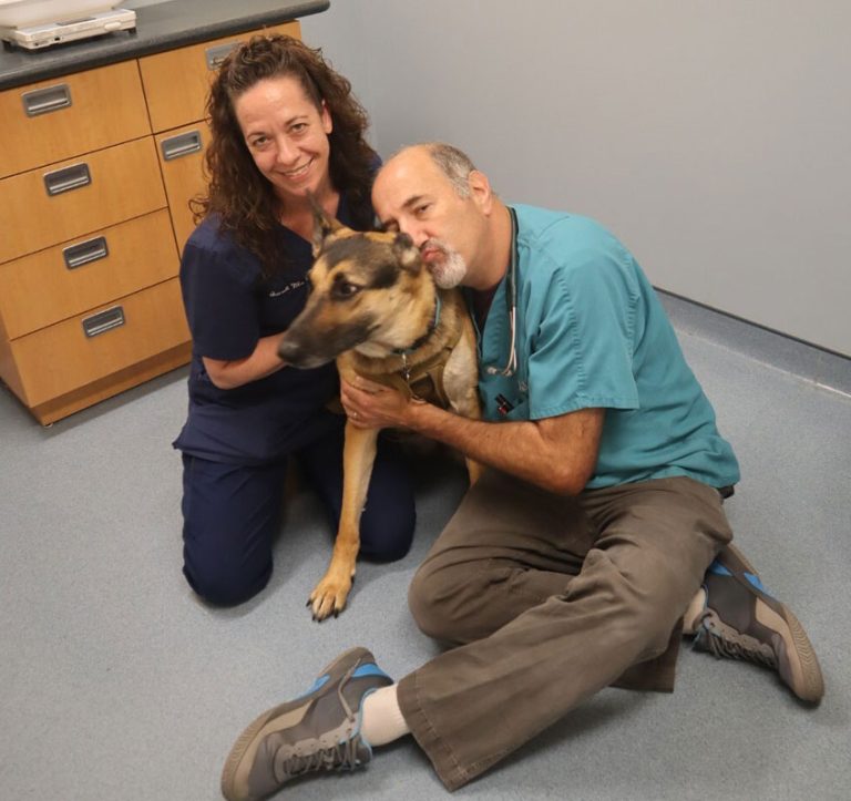 Internal Medicine | Veterinarian In East Greenwich | OSVS