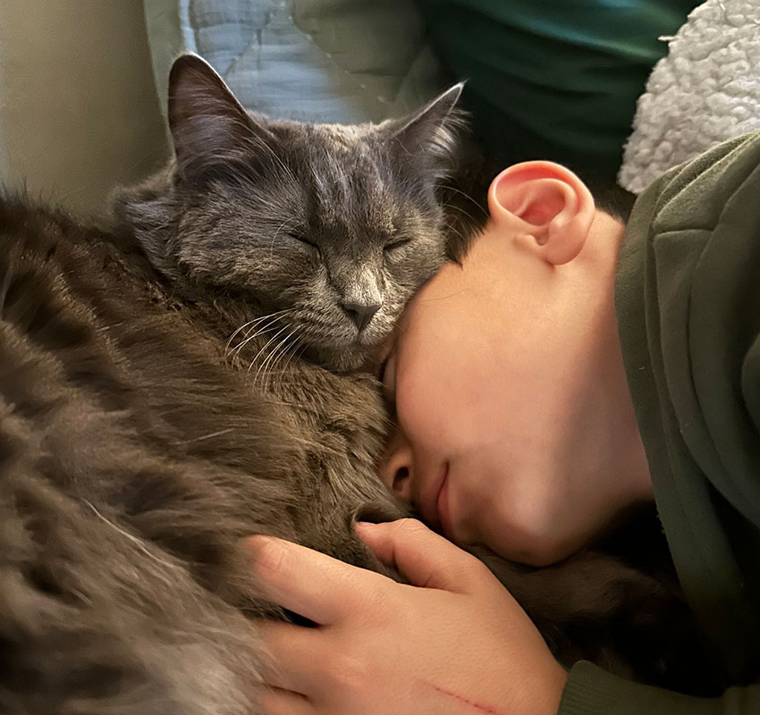 A child sleeps peacefully with their head resting on a fluffy gray cat. The cat's eyes are closed, and it looks content, nestled against the child. The scene captures a cozy moment of companionship and trust between the child and the cat.