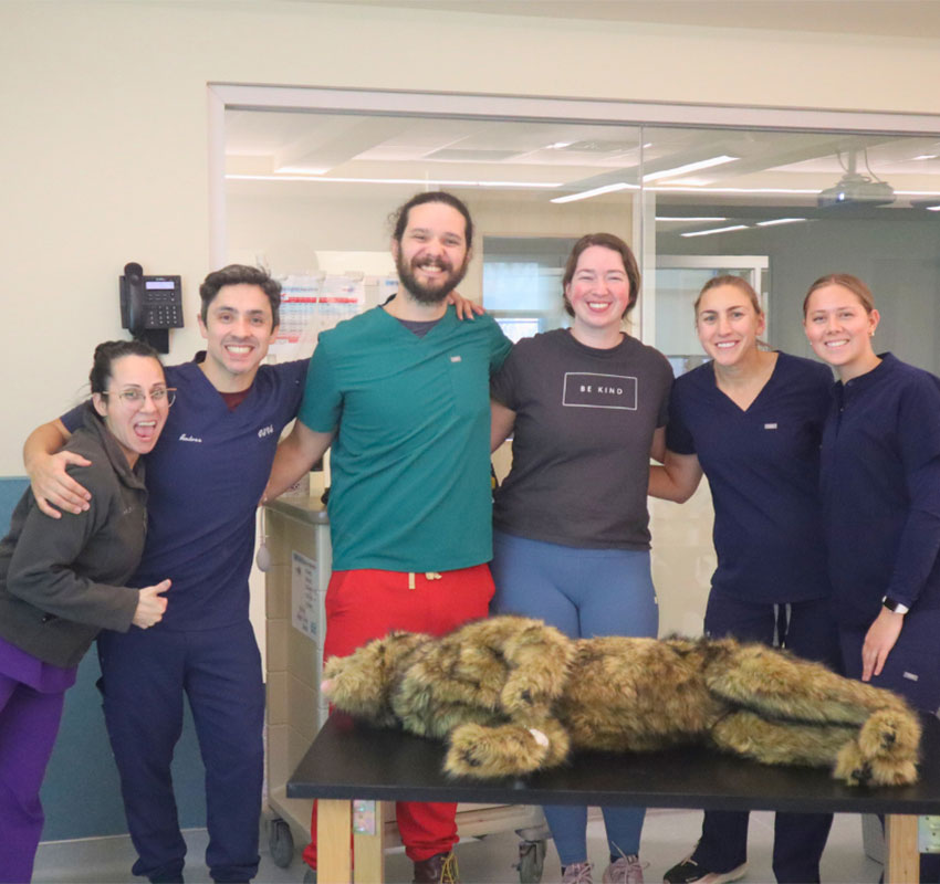 Six smiling people, five in scrubs and one in a "BE KIND" t-shirt, stand around a table with a realistic fur-covered animal mannequin in a veterinary or medical office setting.