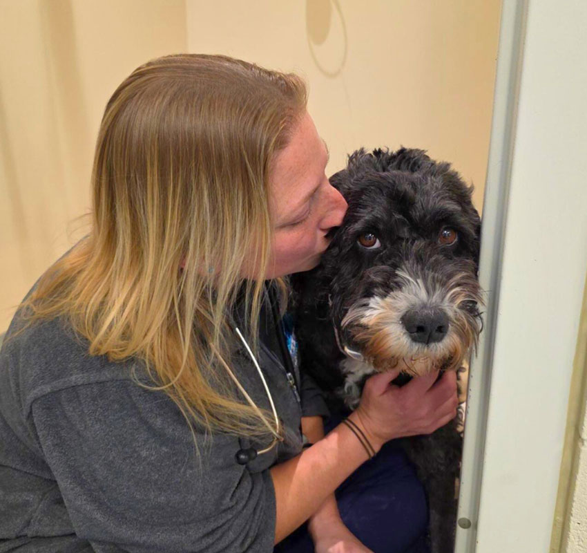A woman with blonde hair kisses the head of a black and white dog while gently holding its chin. The dog looks ahead with a calm expression. They are indoors, next to a light-colored wall.