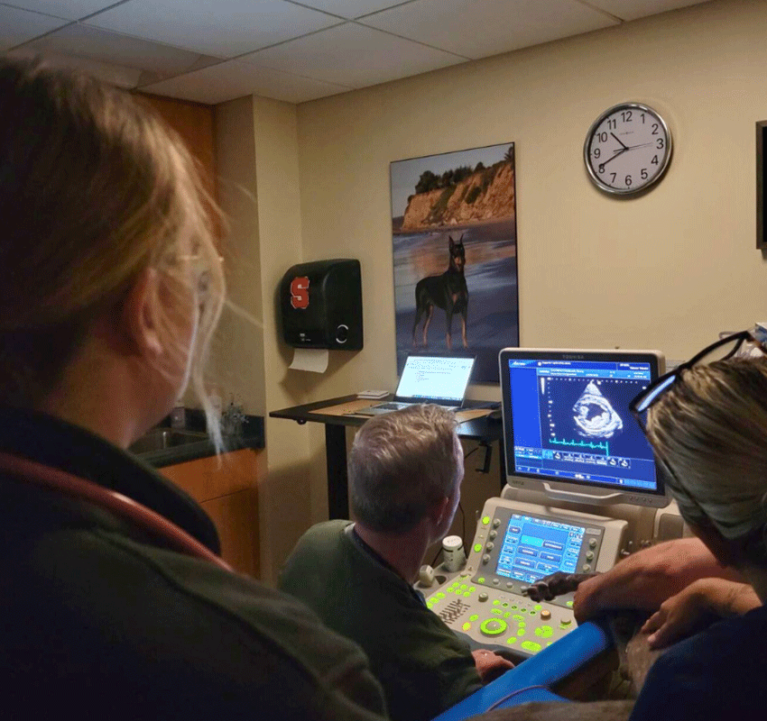 Three people, one holding a dog's leg, gather around an ultrasound machine showing an echocardiogram. A wall clock and a poster of a Doberman are visible in the background.