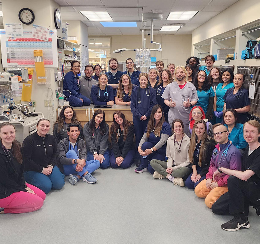 A large group of medical professionals, wearing scrubs in various colors, pose and smile together in a brightly lit hospital or clinic setting with medical equipment visible in the background.