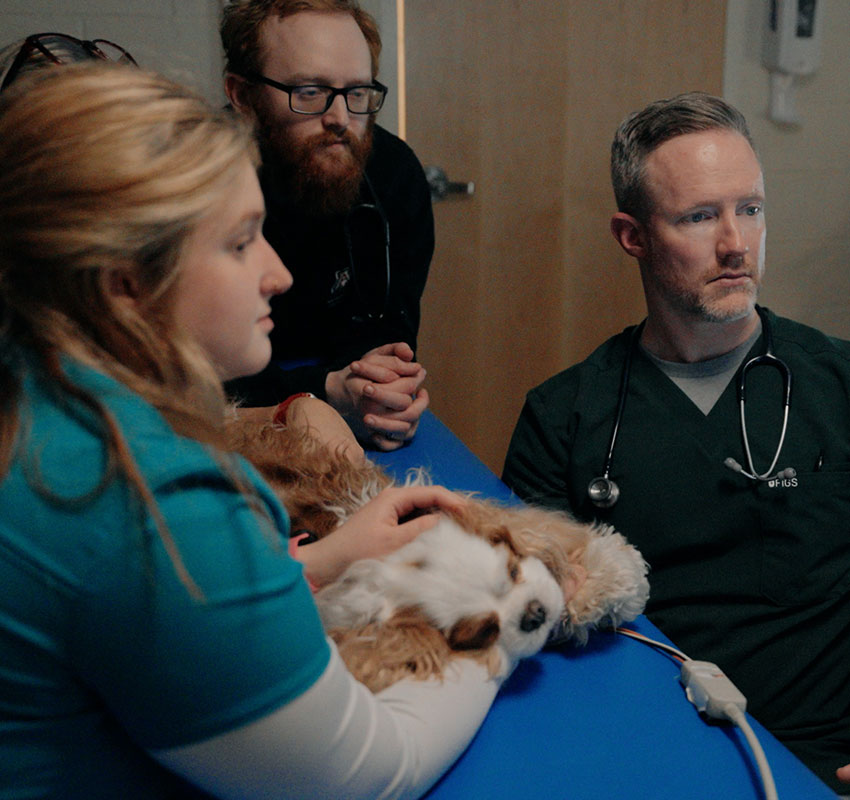Three veterinarians, two men and one woman, sit around a table with a dog lying on it. The woman gently holds the dog while all three focus intently on something off-frame. One man wears a stethoscope.