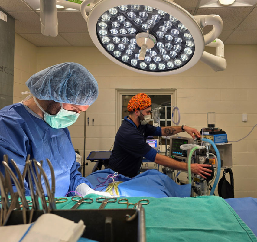 Two medical professionals work in an operating room; one focuses on a patient while the other adjusts equipment. Surgical tools and bright overhead lights are visible, and both wear masks and protective clothing.