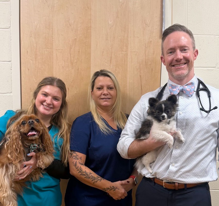 Three smiling veterinary staff members stand indoors, two women and one man. The women hold a brown spaniel dog, the man holds a small white and black dog, and he wears a stethoscope and bowtie. They are in front of a wooden door.