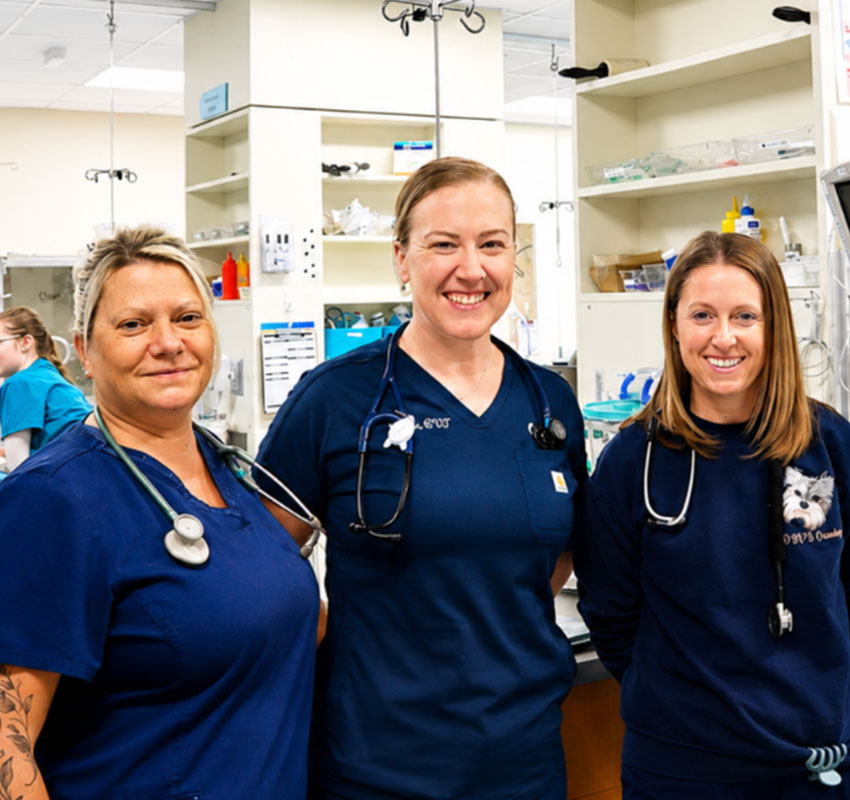 Three smiling healthcare professionals in navy blue scrubs and stethoscopes stand together in a medical facility, with shelves and equipment visible in the background.