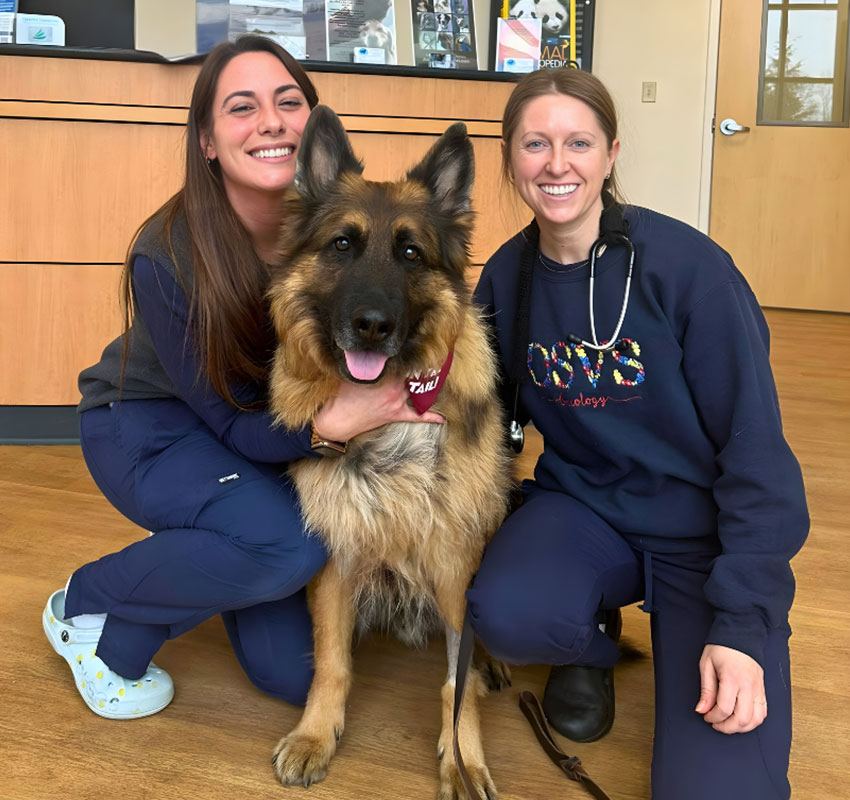 Two women in scrubs kneel beside a long-haired German Shepherd in a veterinary clinic. All are smiling, and the dog wears a red bandana. Wooden floor and reception desk are visible in the background.