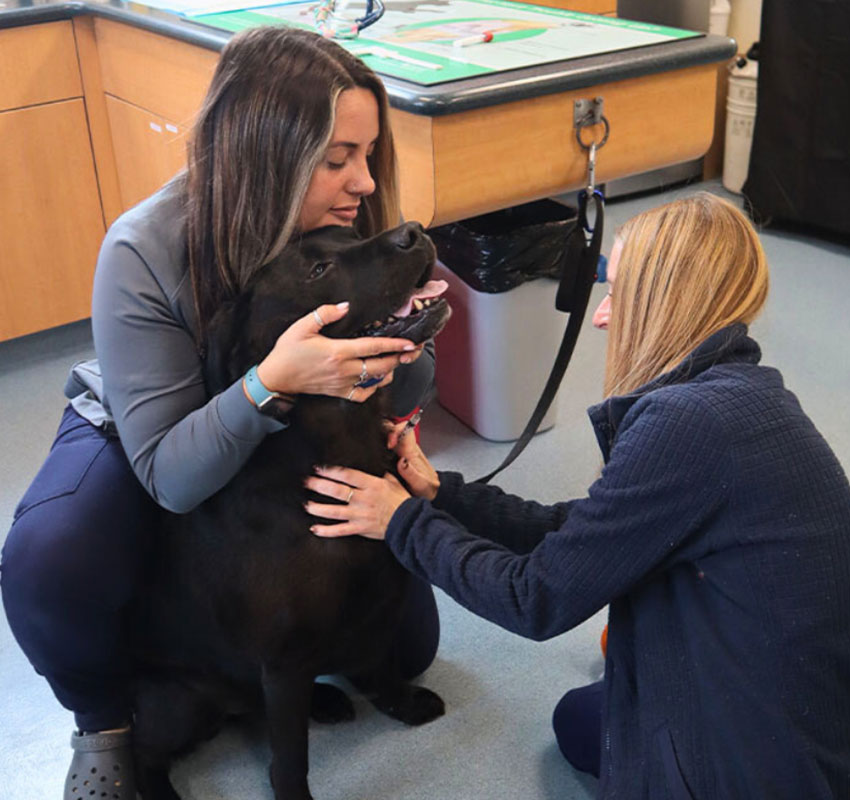 Two women comfort and pet a large black dog in a veterinary clinic. The dog sits on the floor with a leash attached, while both women gently hug and soothe it.