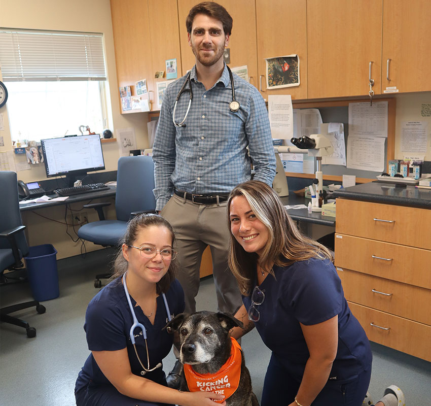 Two women in scrubs kneel next to a dog with an orange bandana, while a man in a checkered shirt and stethoscope stands behind them in a veterinary clinic exam room.